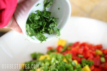 Cilantro