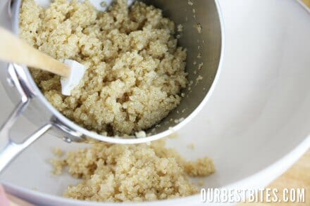 Cooked Quinoa
