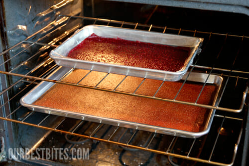 Baking Fruit Roll ups