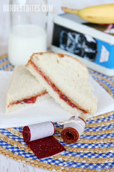 Our Best Bites Fruit Rolls Ups 1