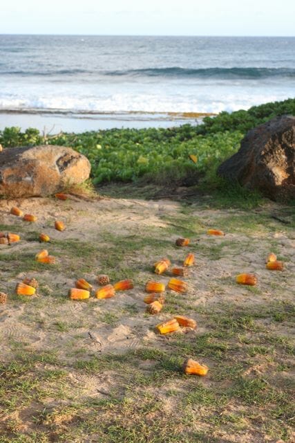 Candy Corn Tree