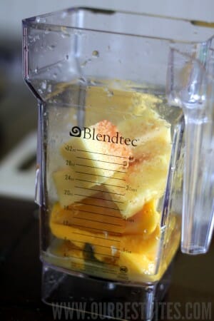 tropical dipping sauce in blender