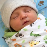 Our Newest Bite! {Welcome, Baby Will!}