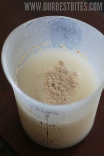 yeast proofing