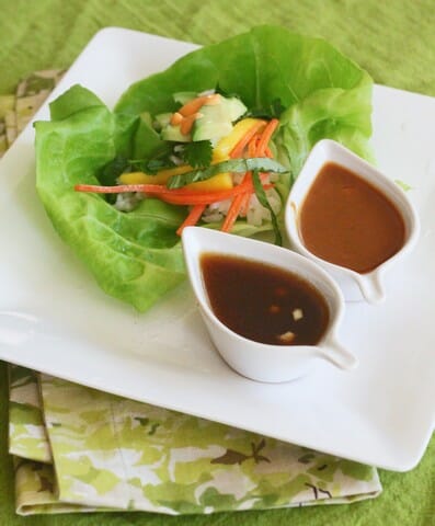 Fresh Spring Rolls {& Lettuce Wraps}