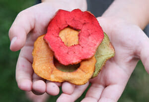Fruity Oven Baked Apple Chips