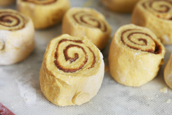Pumpkin Cinnamon Rolls_cut rolls
